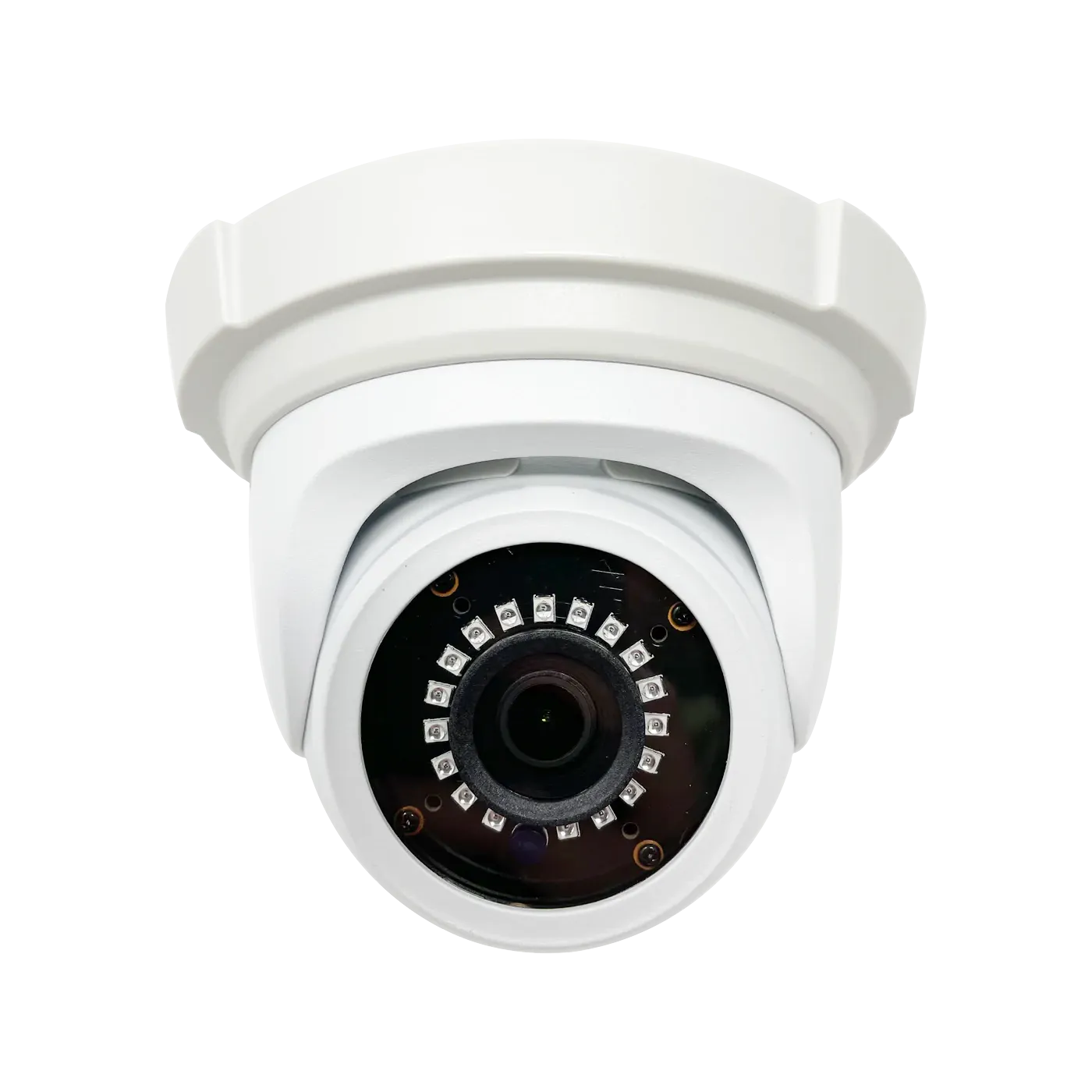 5MP IP Eyeball Outdoor Security Camera