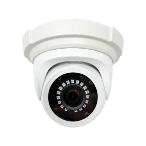 5MP IP Eyeball Outdoor Security Camera