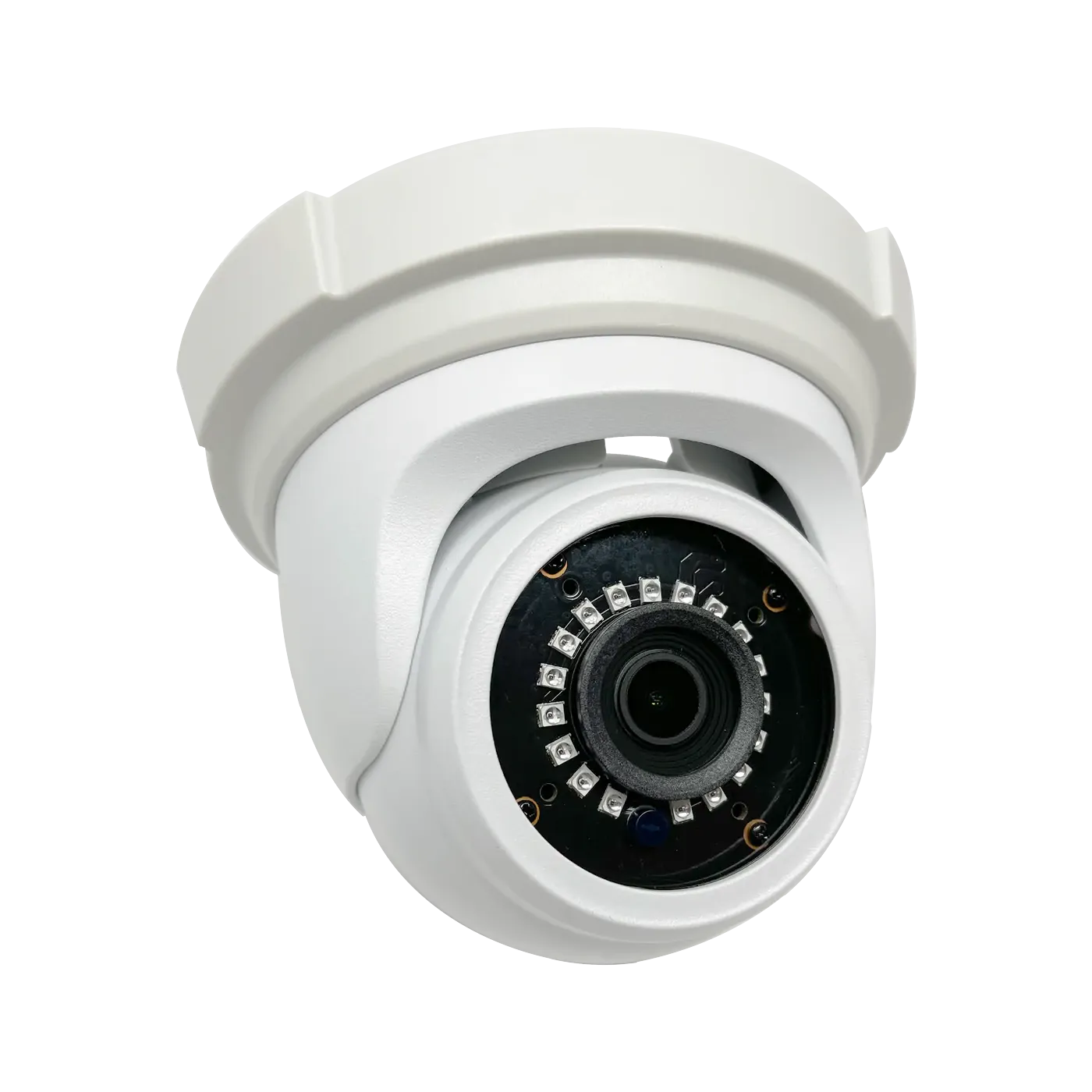 5MP IP Eyeball Outdoor Security Camera