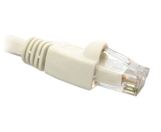 CAT6A Ethernet Patch Cable, 10G, Snagless Molded Boot, RJ45 - RJ45, 1ft UTP