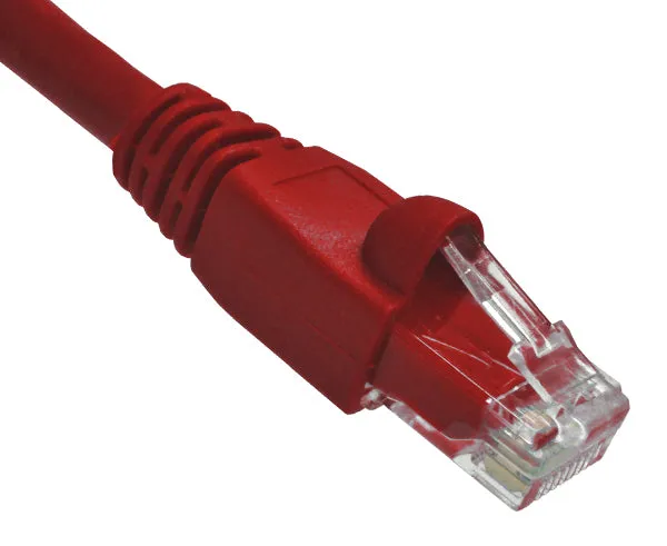 CAT6A Ethernet Patch Cable, 10G, Snagless Molded Boot, RJ45 - RJ45, 1ft UTP