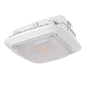 Parking Garage/Canopy Light w/Motion Sensor - Bluetooth App Programmable (30w/50w/75w/100w) 14,000lm 3CCT (3000K/4000K/5000K) Adjustable 100-277vAC