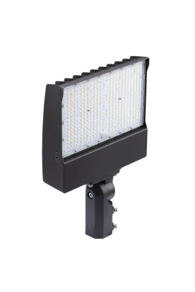 Stonco Lighting SlimFlood LED dual select